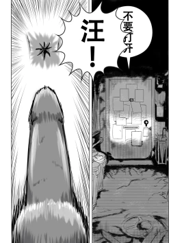 Page 11 of 狗与坏女人