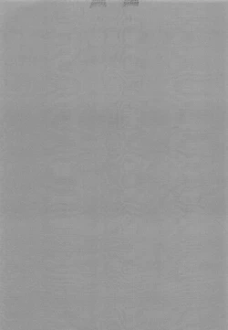 Page 11 of Mizugi Shikibu-san ga Kininatte Chousa ni Shuuchuu Dekinai node Nuite Moratta Ken