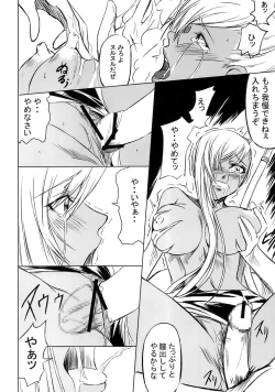 Page 13 of CODE VILLETTA R2