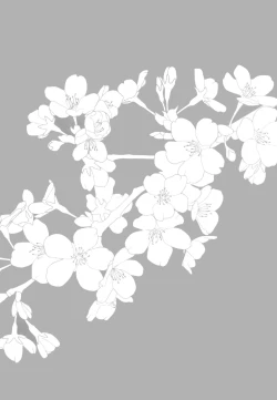 Page 19 of Hana no Chiruran