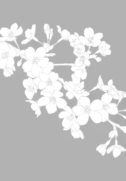 Page 4 of Hana no Chiruran