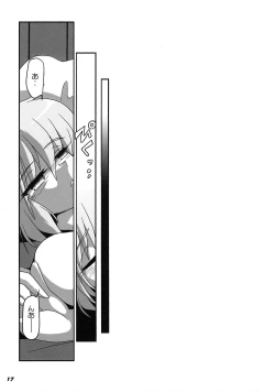 Page 19 of TOHO N+ prver