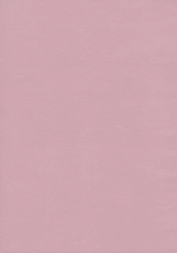 Page 2 of TOHO N+ prver