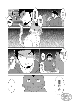 Page 11 of Bakeneko Katari