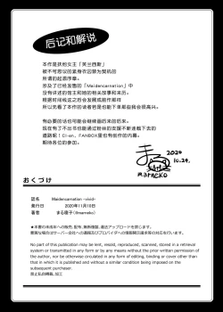 Page 41 of Maidencarnation