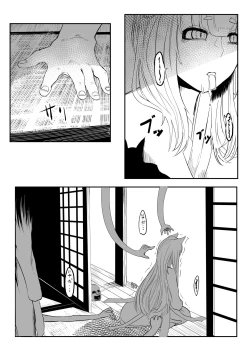 Page 17 of Gingitsune no Ecchi na Yatsu Matome Hon