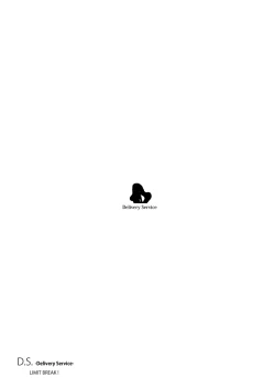 Page 2 of D.S.LIMIT BREAK !