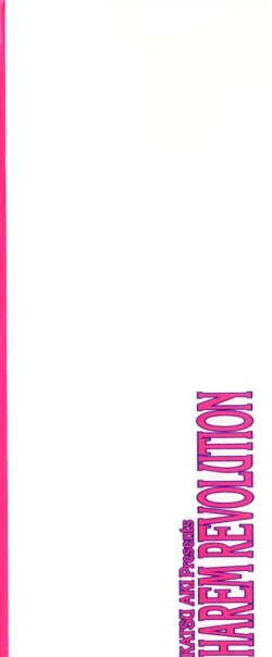 Page 189 of Harem Kakumei 2 | 閨房革命2