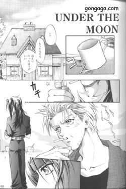 Page 21 of Vincent Tokuhon vol. 3