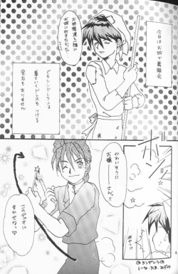 Page 4 of Tadashii Meruhien no Keikou to Taisaku