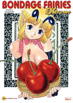 Download Bondage Fairies Extreme 15