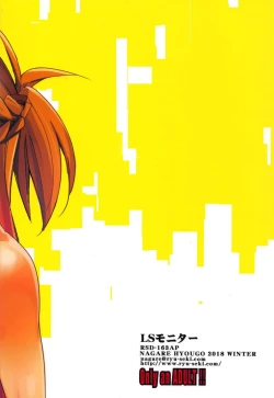 Page 19 of LS Monitor