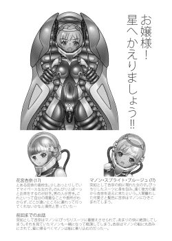 Page 3 of お嬢様!星へかえりましょう!!2