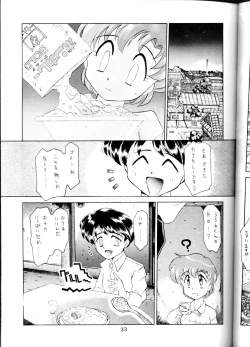 Page 33 of Yamainu Volume.1