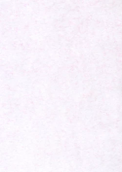 Page 2 of Maggy Bouillon