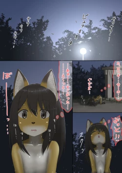 Page 43 of The bankruptcy of a company