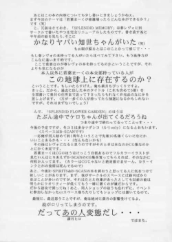 Page 12 of SPLENDID FLOWER GARDEN