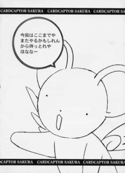 Page 19 of SPLENDID FLOWER GARDEN