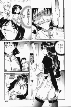 Page 161 of Comic Hime Dorobou 2001-05