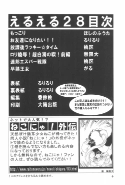 Page 4 of EruEru 28