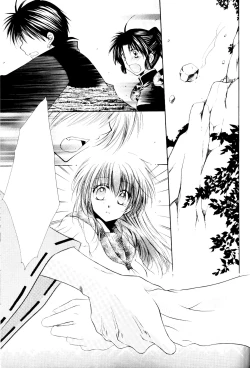 Page 31 of Ryuusei Ryodan | Falling Star Brigade