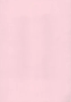 Page 2 of PRIVATE LESSON