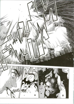 Page 12 of Silky Whip Extreme 04