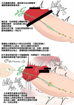 Page 4 of 搾精植物