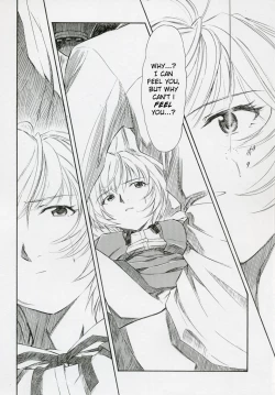 Page 13 of Ayanami Shiro