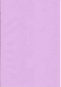 Page 2 of Bitch Spoiler