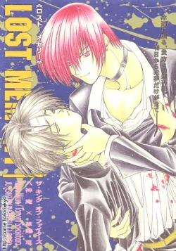 Page 1 of LOST MEMORY