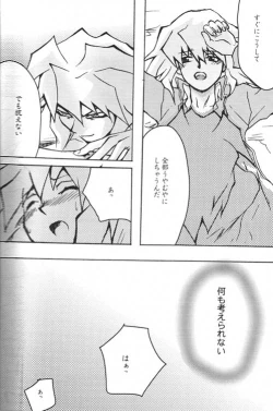 Page 16 of TapirholiSM2