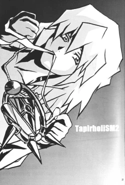 Page 24 of TapirholiSM2