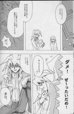 Page 10 of TapirholiSM