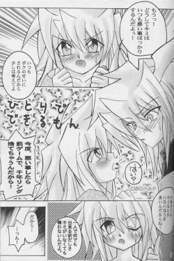 Page 15 of TapirholiSM