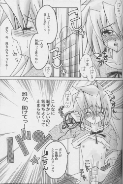 Page 17 of TapirholiSM