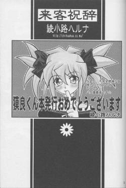 Page 23 of TapirholiSM