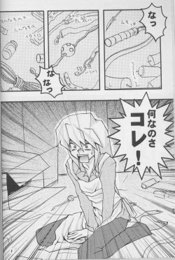 Page 6 of TapirholiSM