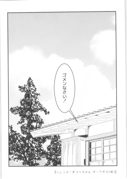 Page 25 of Harenchi! Matsuri-chan 1