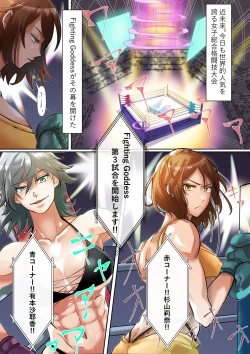 Page 3 of fighting goddess 3