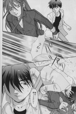 Page 11 of LAND BREEZE