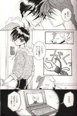 Page 12 of SNOW GARDEN