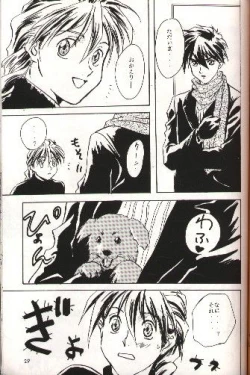 Page 22 of SNOW GARDEN