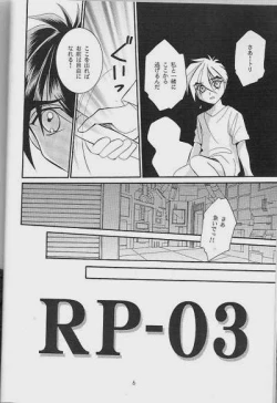 Page 4 of RP-03