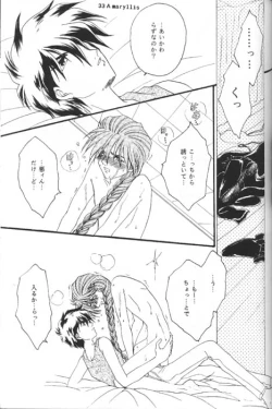 Page 31 of Amaryllis