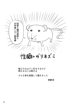 Page 4 of Yokunyou Gensoukyou