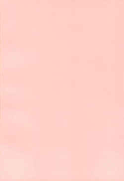 Page 2 of Bijin Onna Joushi o Yaru!