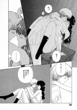 Page 41 of Toumei na Tori