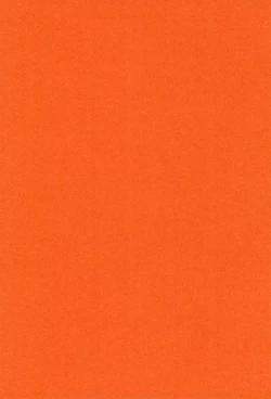 Page 4 of Super Osananajimi Lovers!