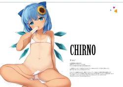 Page 3 of Touhou Shungashuu Youyuugiroku